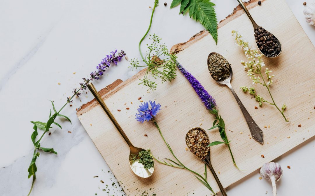 Las 5 plantas medicinales más recomendadas del mundo