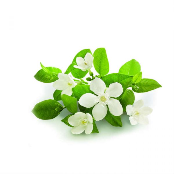 Neroli